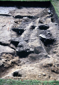 Click to enlarge image of nw corner of Trench 16