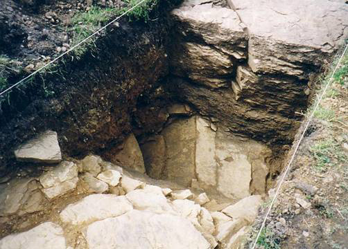 Trench 1 in the Old Vicarage Garden in 1998