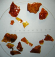 Click to enlarge image of fragments of amber beads