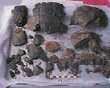 Click to enlarge image of sherds of Mellor Pot
