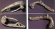 Click to enlarge Image of Roman Brooches found in Trench 18