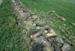 Click to enlarge image of construction of drystone wall at Cobden