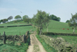 Click to enlarge image of Mellor Ridge from Hilltop Farm 